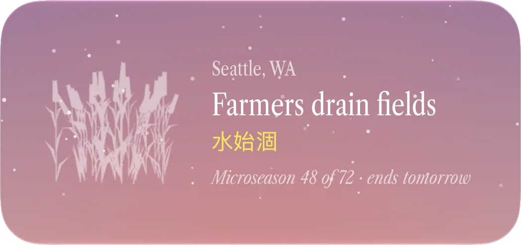 Microseason widget for Seattle, WA: Farmers drain fields, microseason 48 of 72, ends tomorrow
