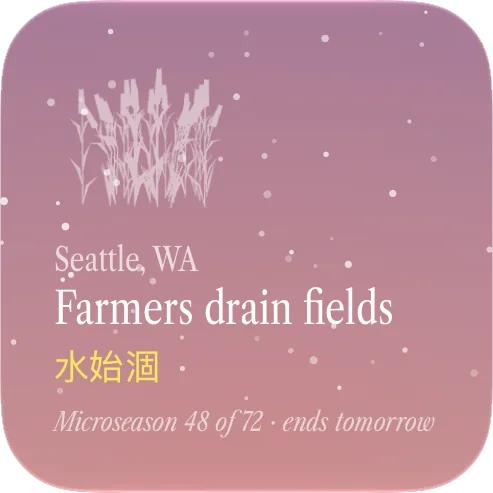 Microseason widget for Seattle, WA: Farmers drain fields, microseason 48 of 72, ends tomorrow